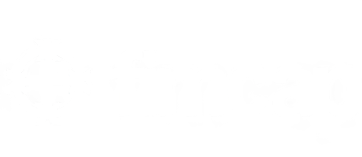 FIMCAP Logo